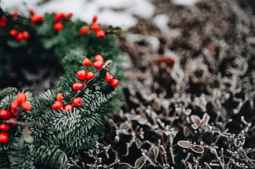 好看的圣诞花环图片