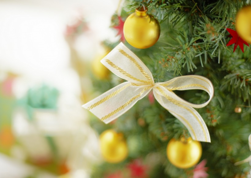 冬天花朵素材图片