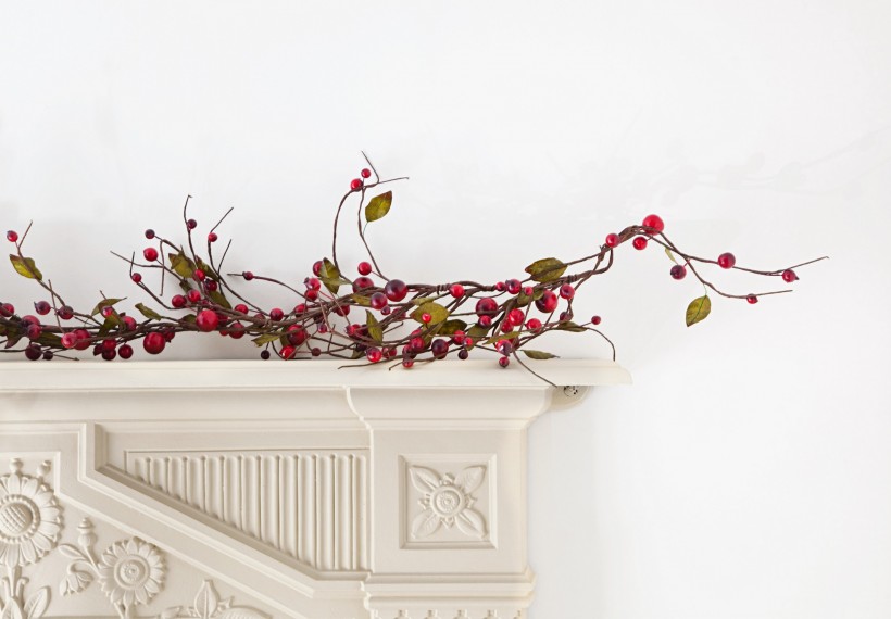 圣诞概念静物图片