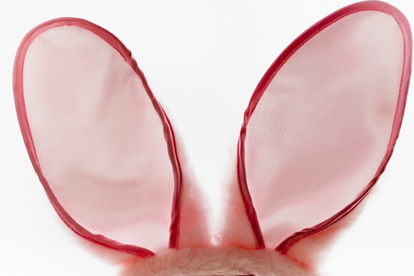 复活节兔子图片