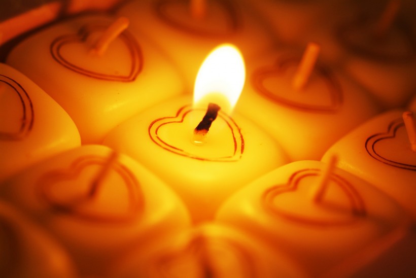 情人节物语图片