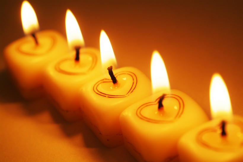 情人节物语图片