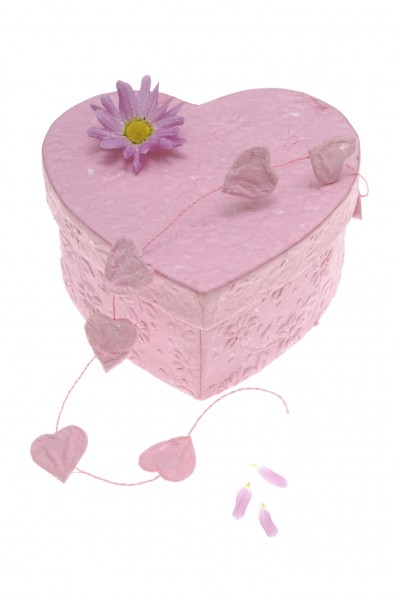 情人节物语图片