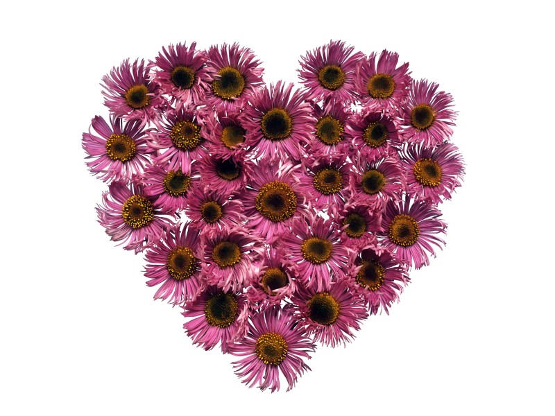 情人节心形花环图片