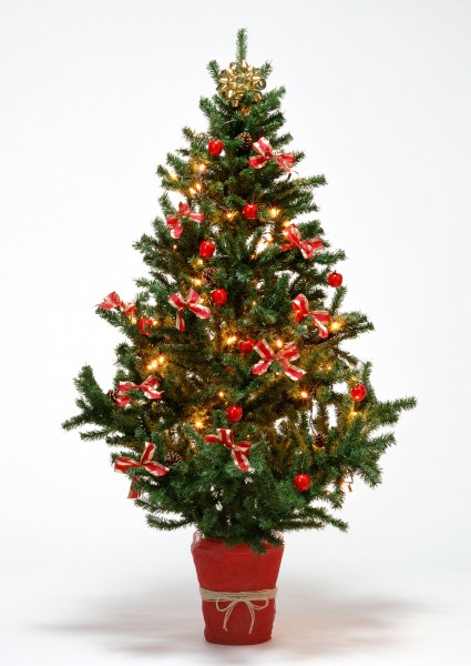 圣诞节图片大全