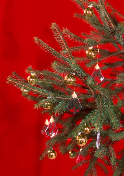 圣诞节图片大全