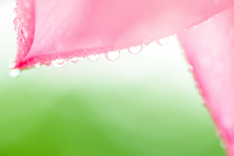 小清新背景素材图片