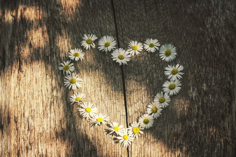 用物品摆放成的心形图片大全