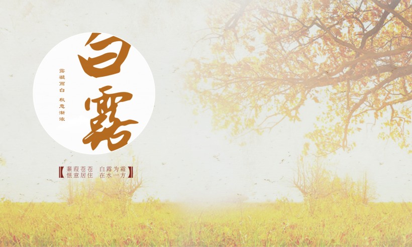 二十四节气之白露设计素材图片