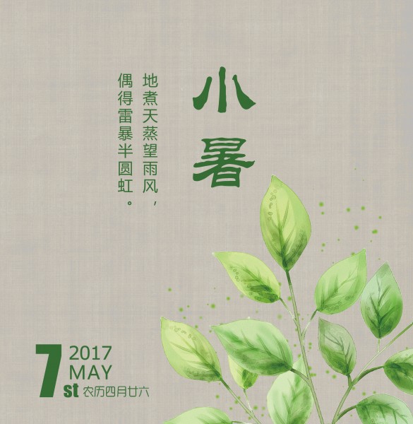 24节气小暑设计素材图片