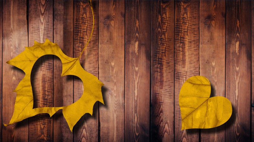 有创意的心形图片大全