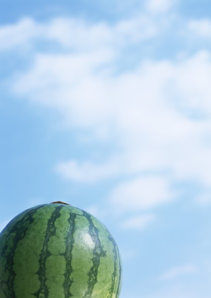 夏日清新背景素材啤酒西瓜风车向日葵图片