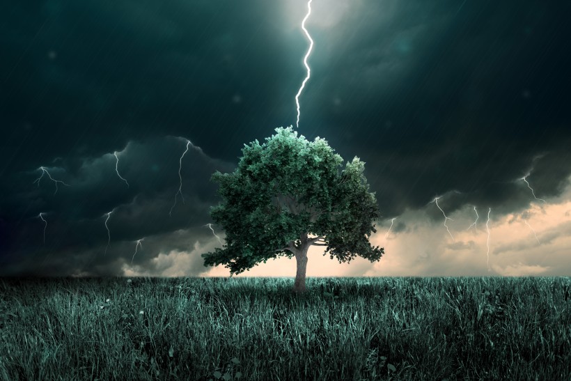 个性幻想树木素材图片