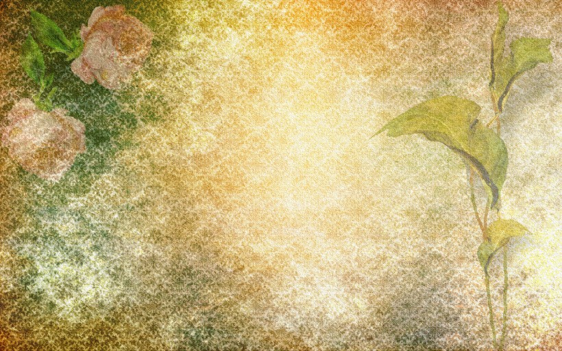 花卉彩绘背景素材图片