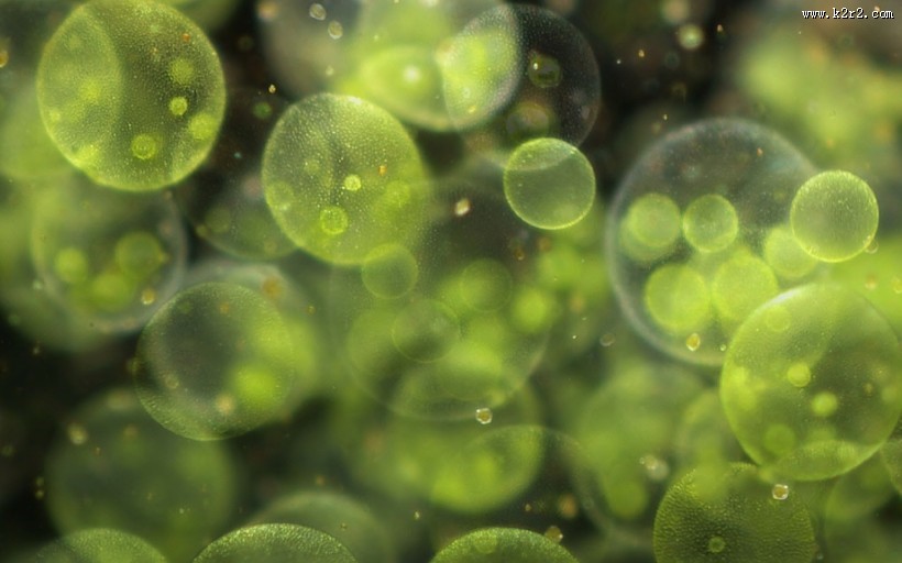 光影光圈设计背景图片