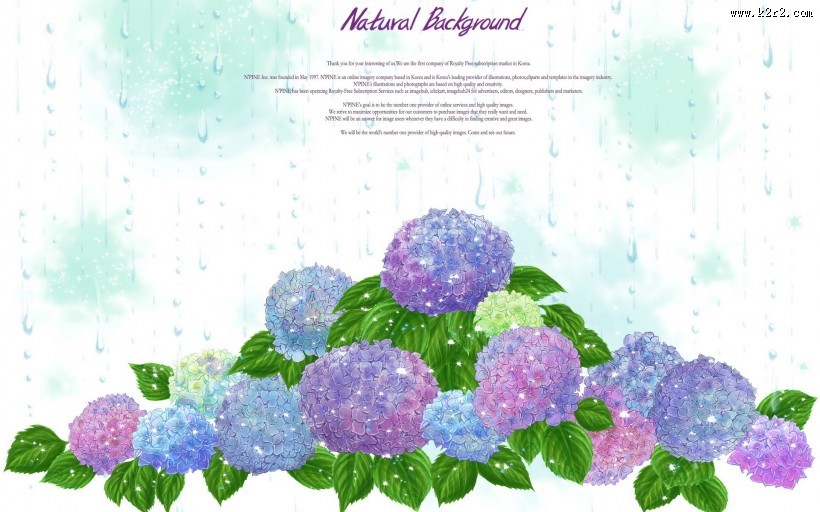 浪漫简约花朵信纸图片