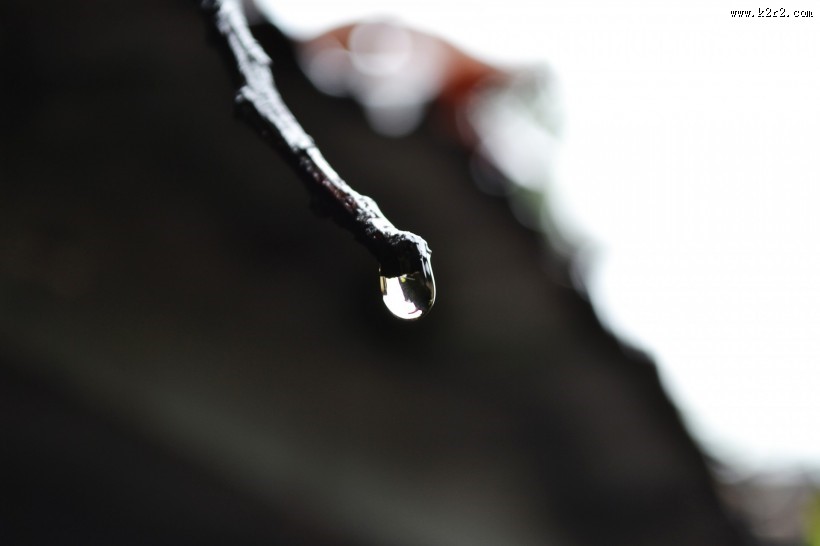 晶莹的水滴图片大全