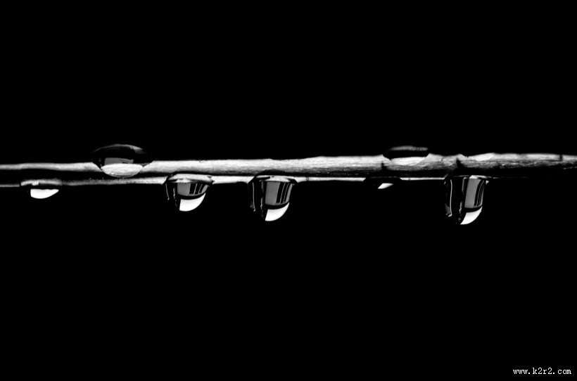 晶莹的水滴图片大全