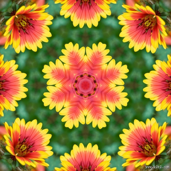 怪异的花纹背景图片大全