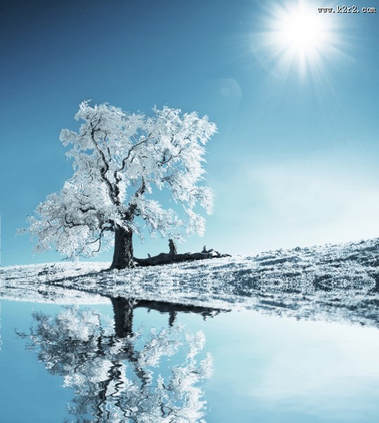 影楼婚纱照背景高清大图（三）