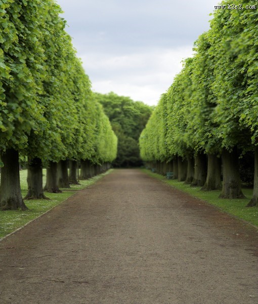 影楼婚纱照背景高清大图（四）