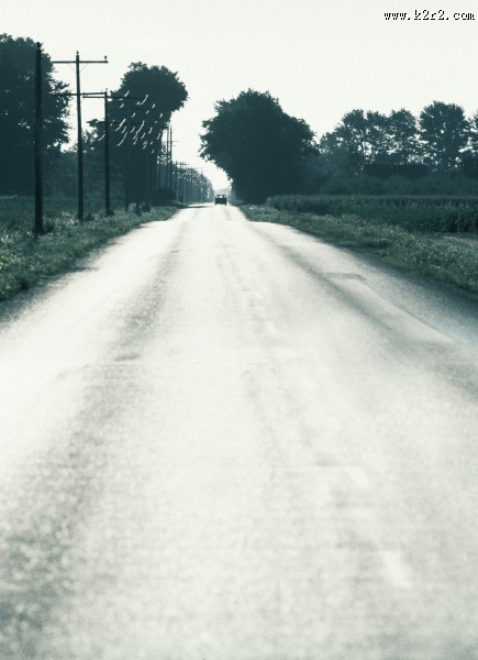 婚纱背景高清图片（一）