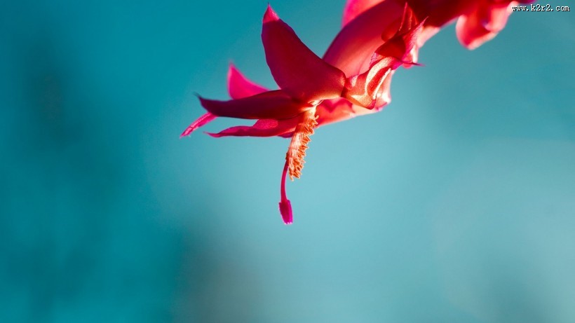 小清新唯美意境图片