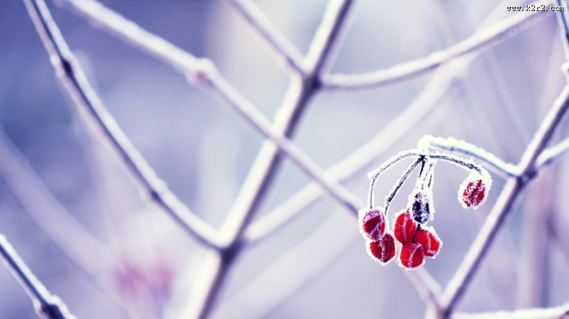 小清新唯美意境图片