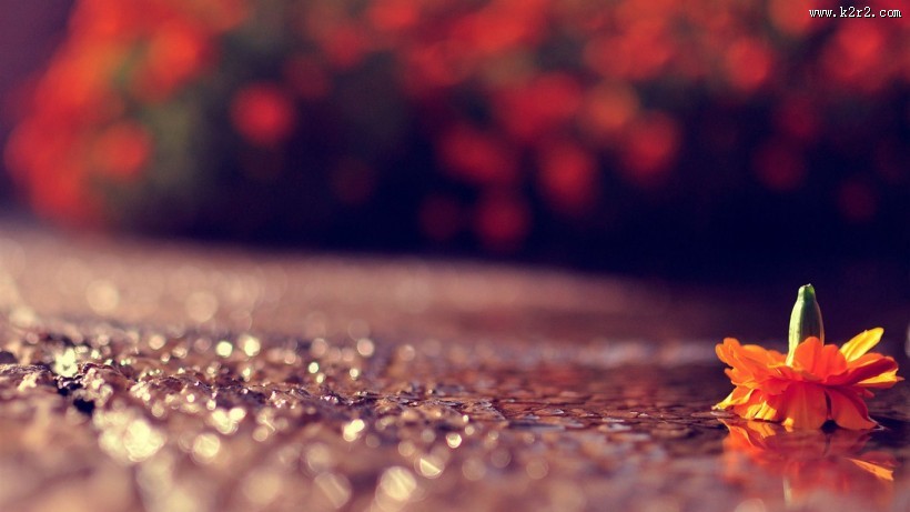 小清新唯美意境图片