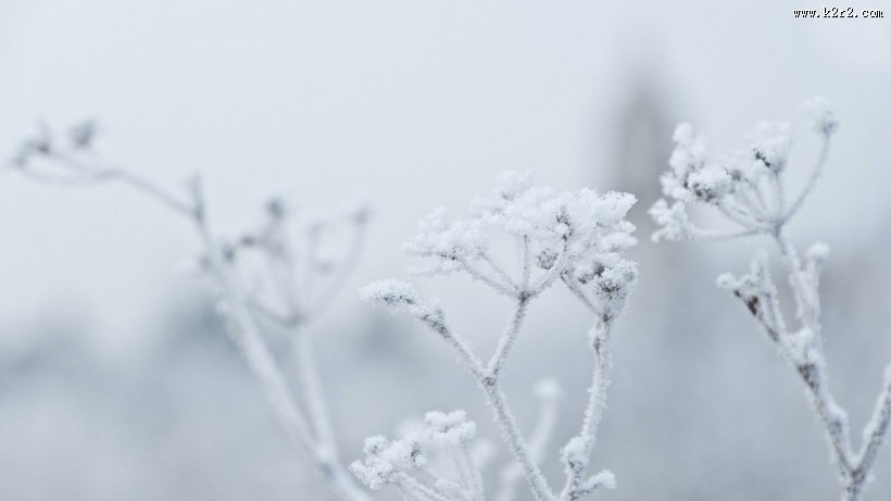 小清新唯美意境图片