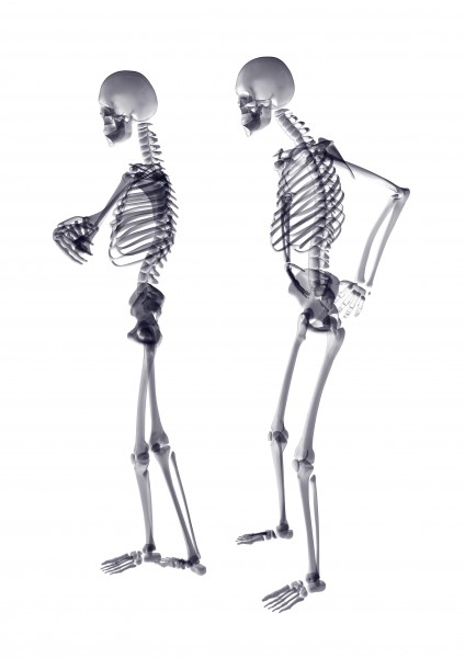 人体骨架运动系列高清图片