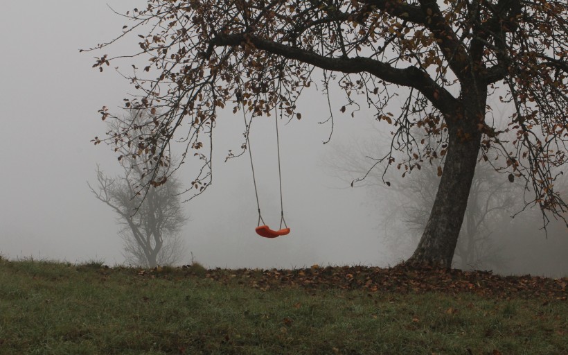 童年的秋千图片