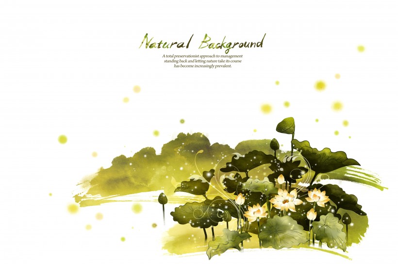 韩国时尚花纹图片大全