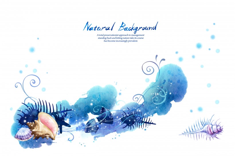 韩国时尚花纹图片大全