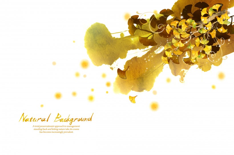 韩国时尚花纹图片大全