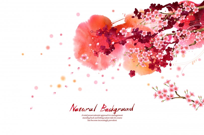 韩国时尚花纹图片大全