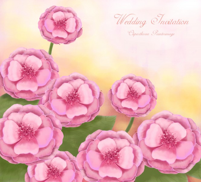 韩国唯美花朵背景图片