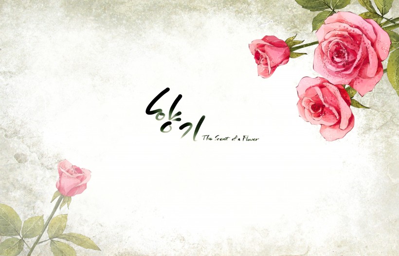 温馨粉色韩国花朵背景图片大全