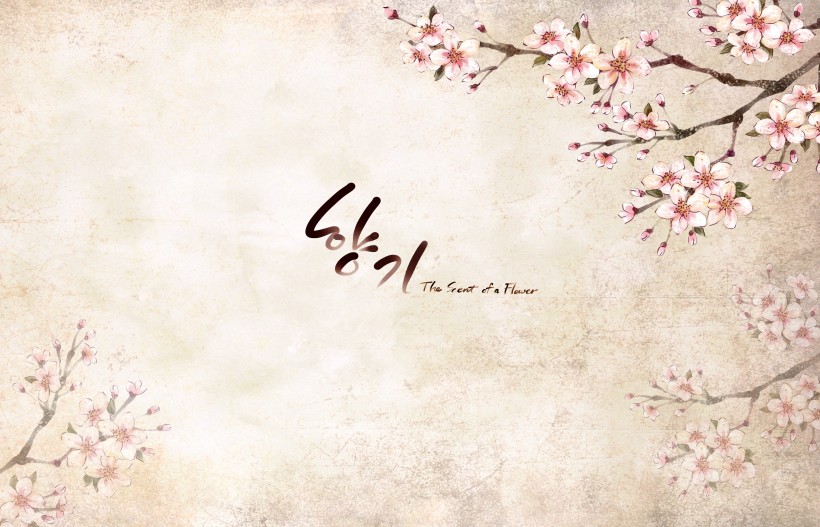 温馨粉色韩国花朵背景图片大全