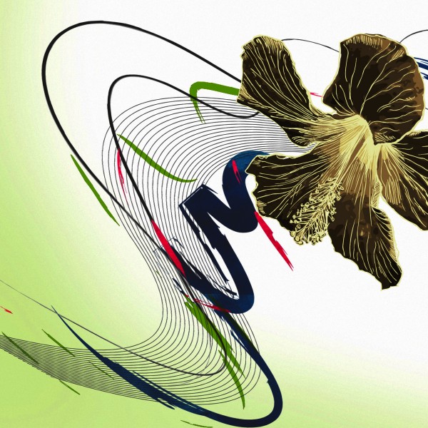 缤纷花朵三联挂画图片