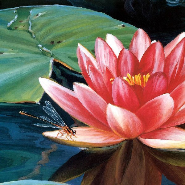 中国风荷花金鱼三联挂画图片