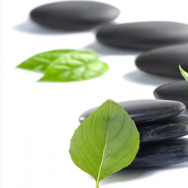 石头意境三联画图片