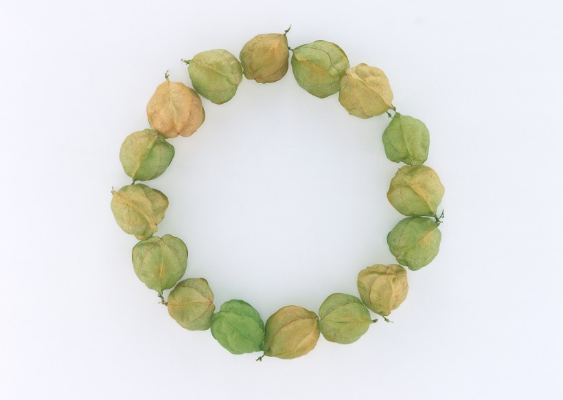 蔬果花环，画框图片