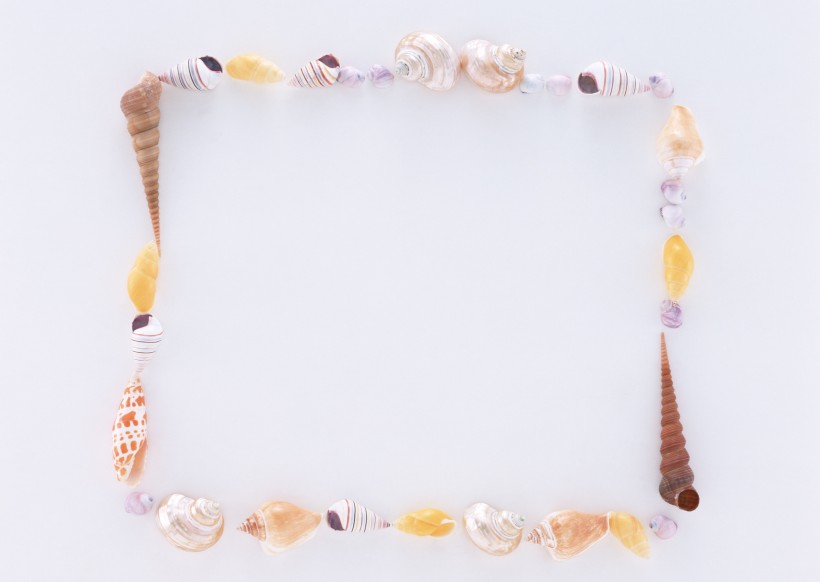 海洋气息贝壳石头边框图片