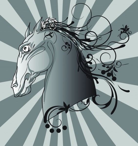 马的剪影与插画图片