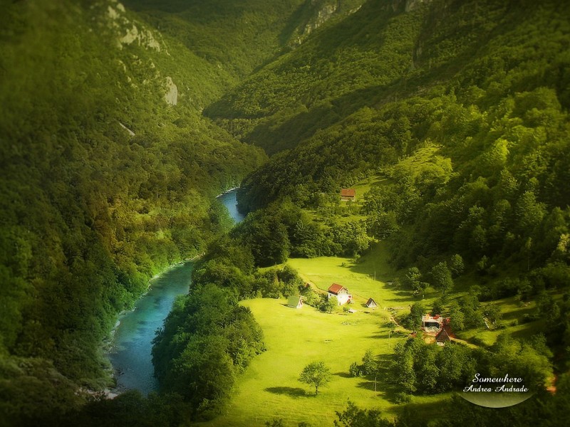 电脑特效唯美图片