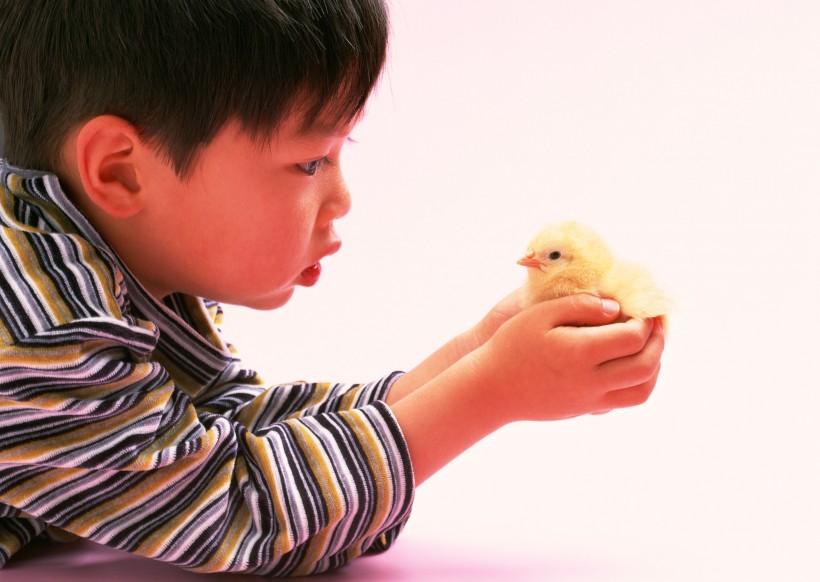 爱护地球爱护生命图片