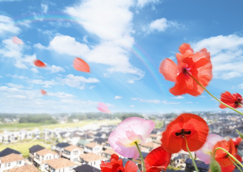 花朵和地球设计图片