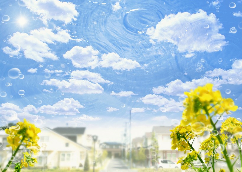 花朵和地球设计图片