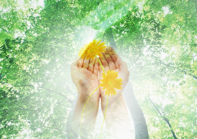 人类和地球设计图片